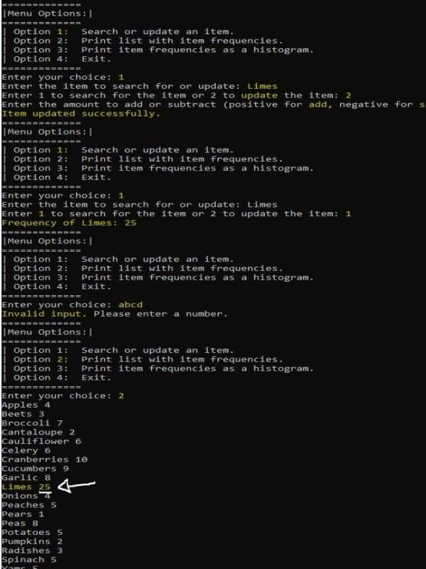 Personal Portfolio Images