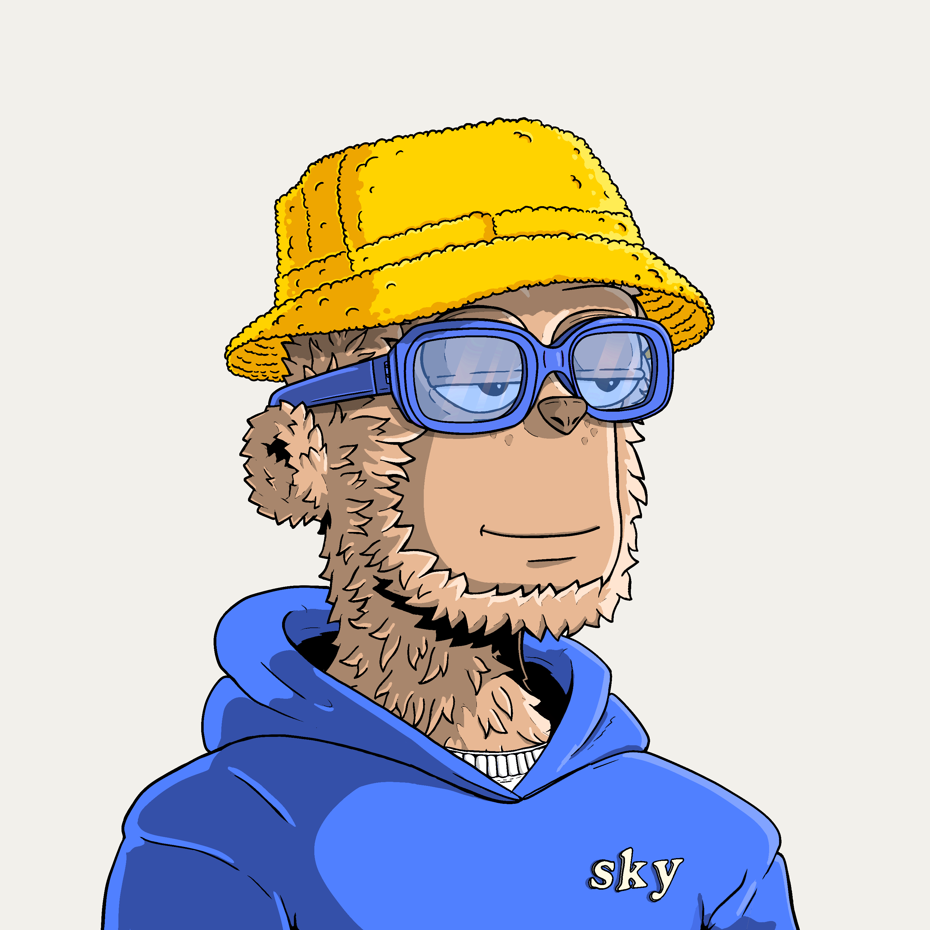 Personal Portfolio Images